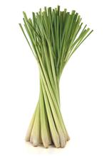 Lemongrass