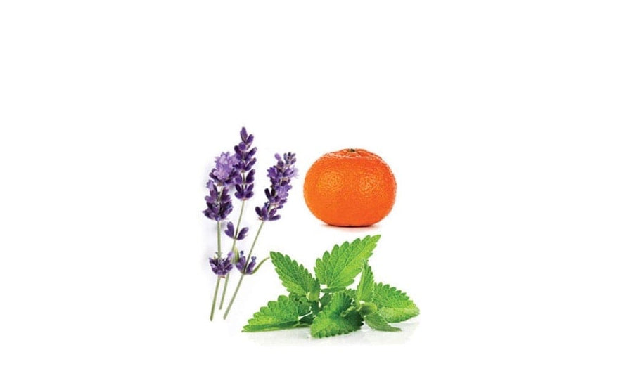 dōTERRA Elevation Oil Blend